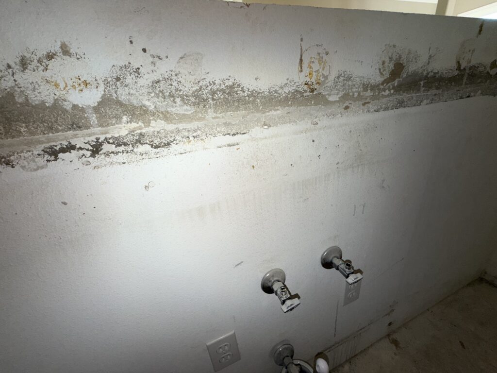 Mold Growth On Walls In Bathroom Area Due To Plumbing Failure Image Title: Mold In Bathroom Due To Plumbing Failure