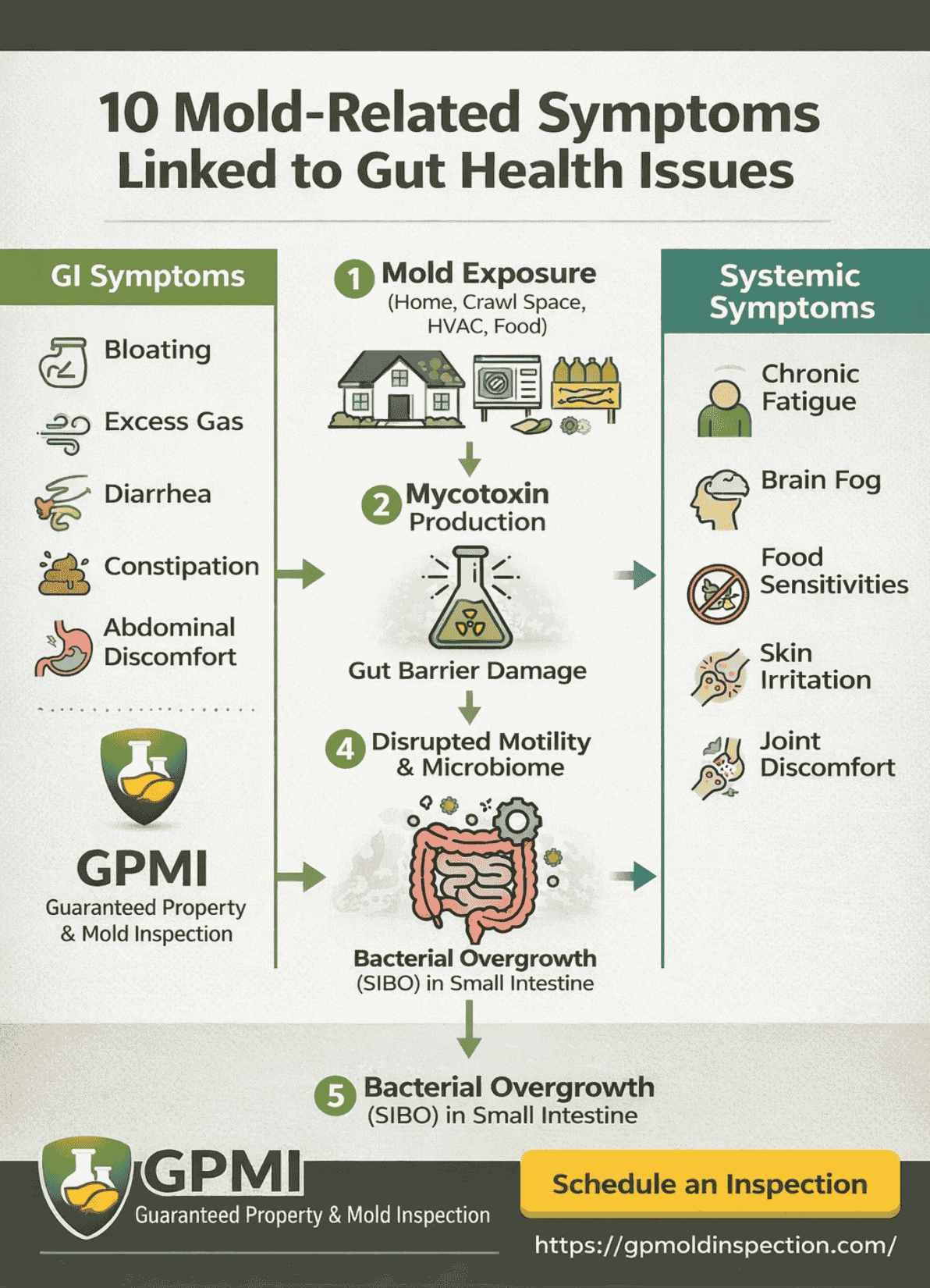  Infographic Listing 10 Mold-Related Symptoms Associated With Gut Health Issues, Featuring Icons And Brief Descriptions.