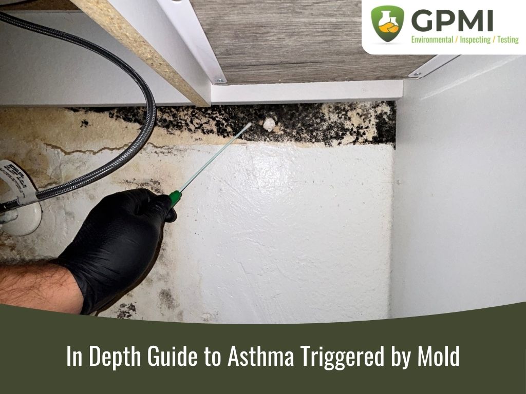 asthma triggered by mold