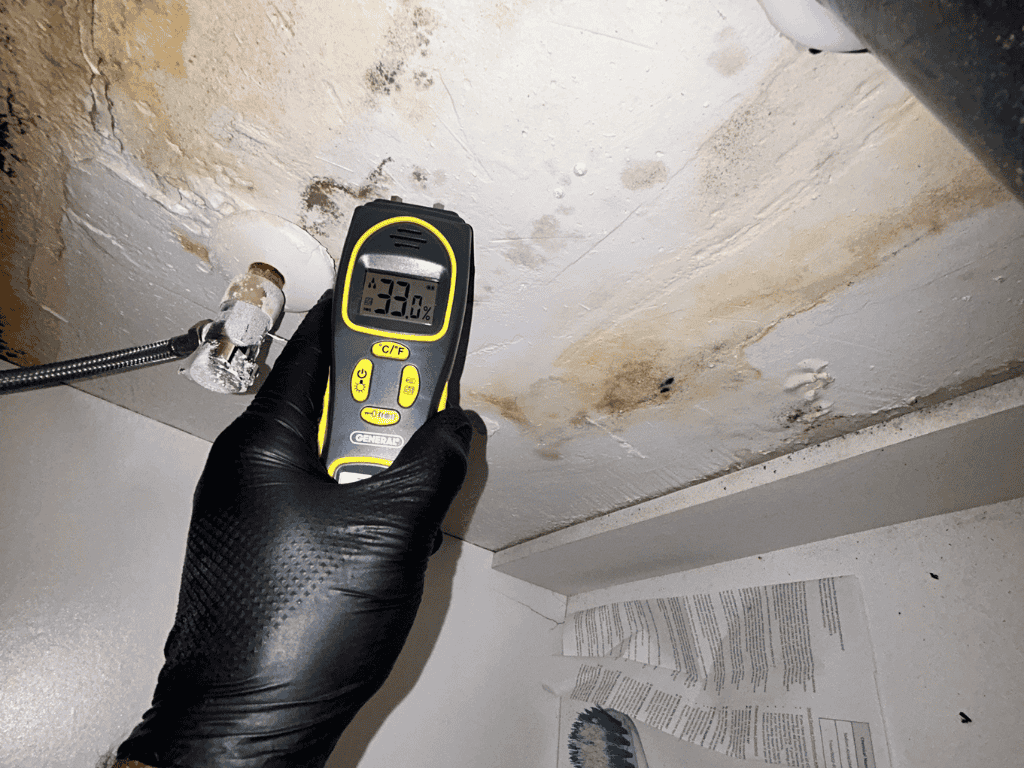 Technician Using Moisture Meter To Detect Mold And Water Damage Under Sink Ceiling.