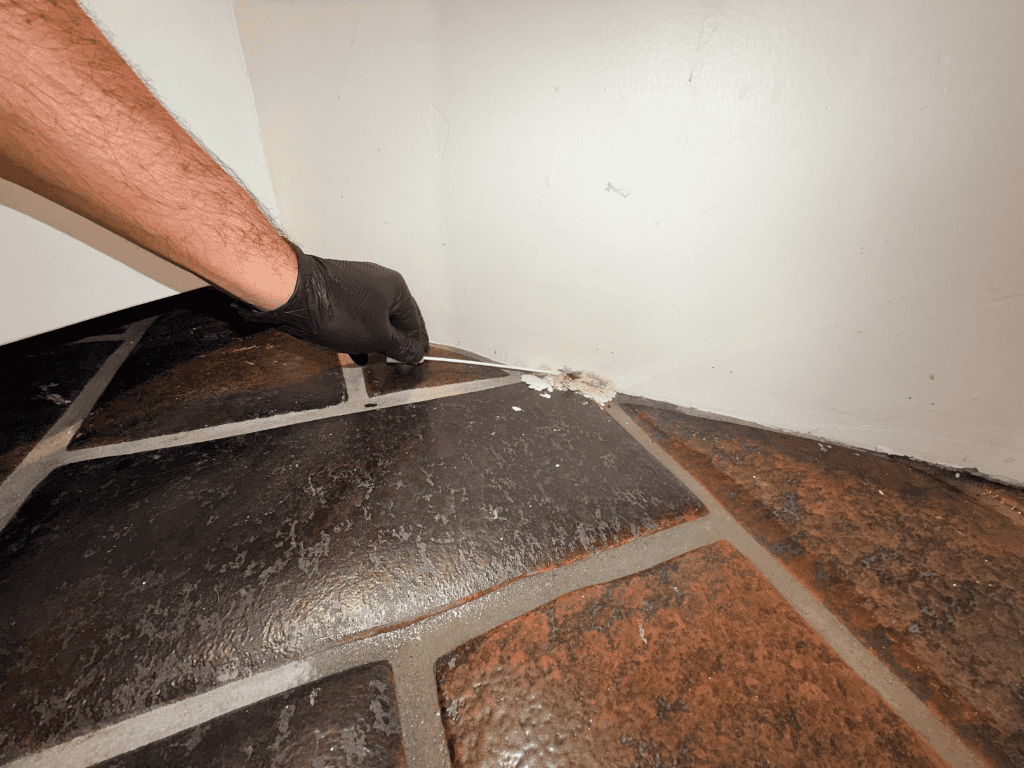 Technician Inspecting Mold Growth At The Corner Of A Tile Floor During Environmental Testing For Moisture And Damage.