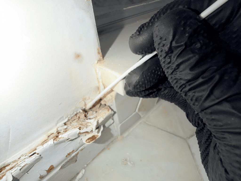 Inspector Taking Surface Swab Sample From Water-Damaged Baseboard
