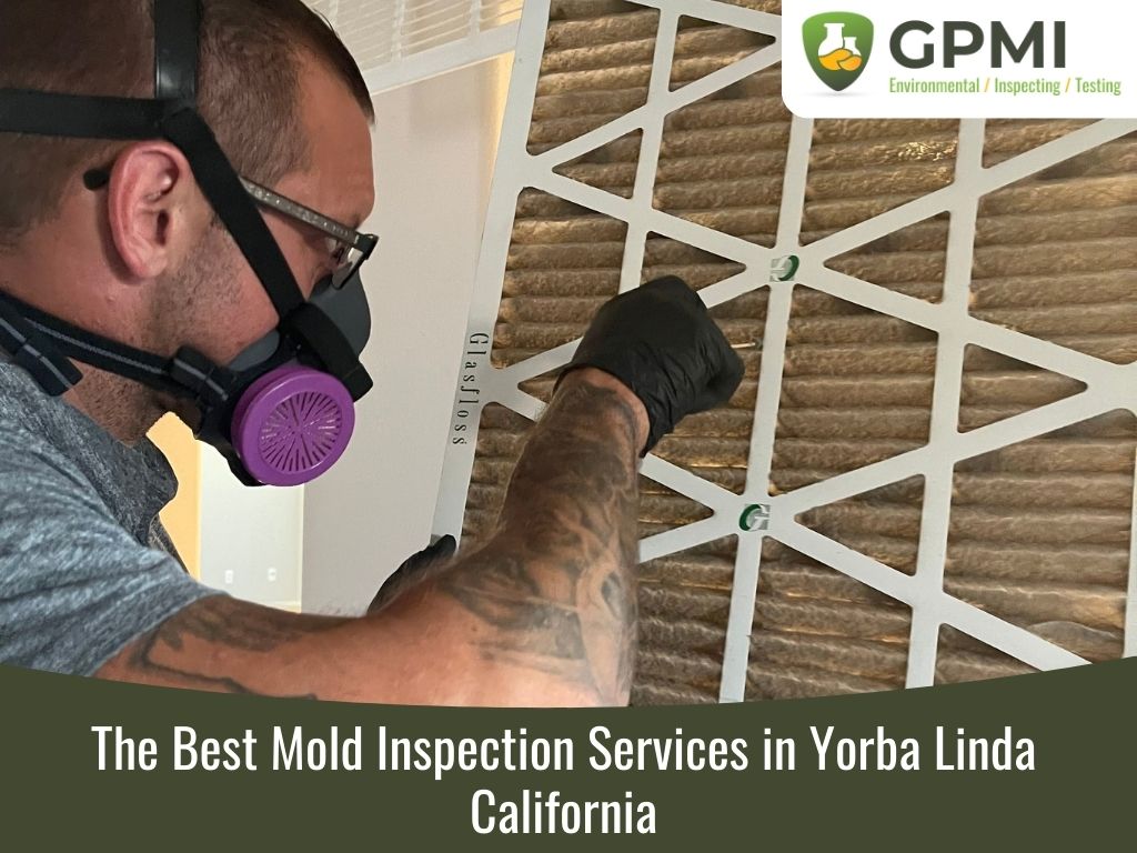 mold inspection yorba linda ca