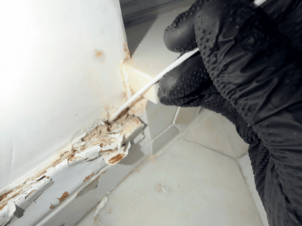Technician Collecting Mold Sample From Water-Damaged Wall Using Swab During Indoor Environmental Inspection.
