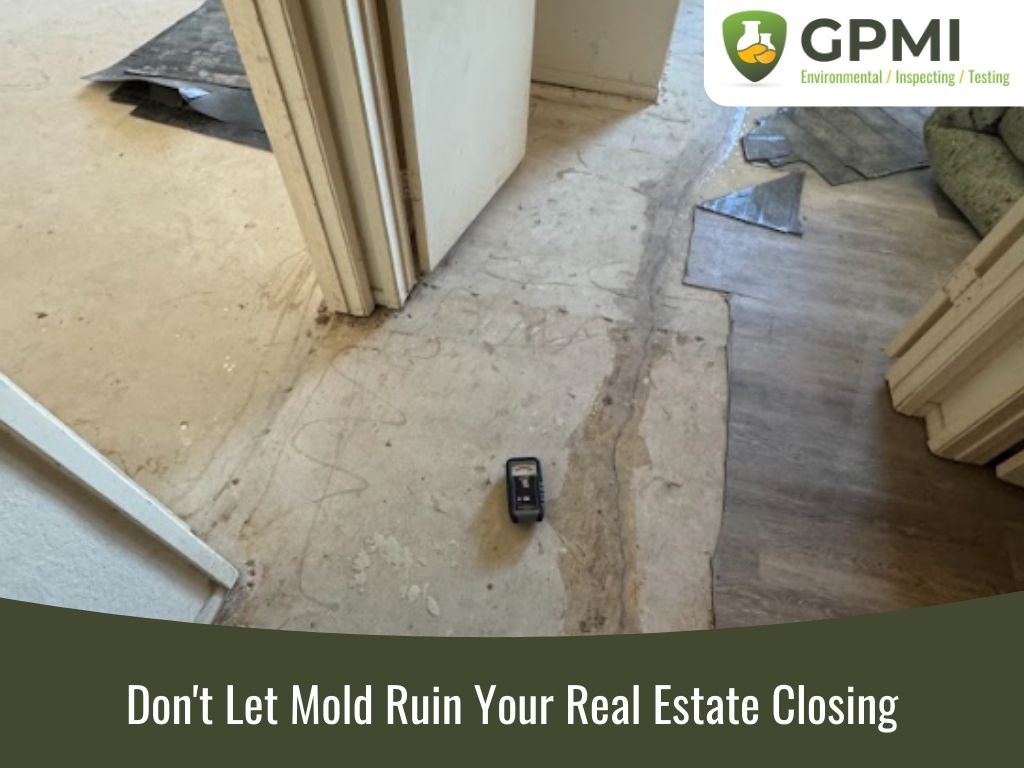 Real estate mold inspection