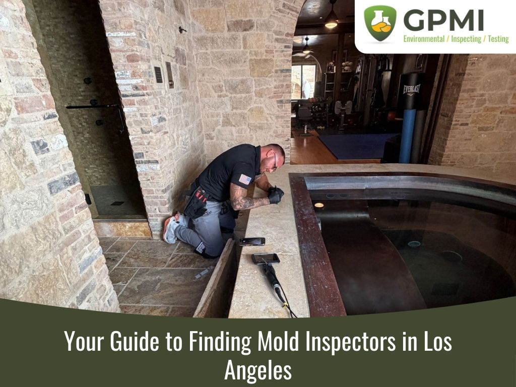mold inspection Glendale CA