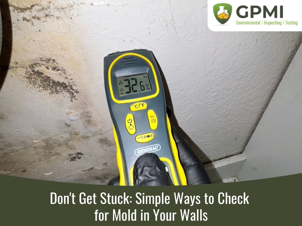 Don'T Get Stuck: Simple Ways To Check For Mold In Your Walls 4