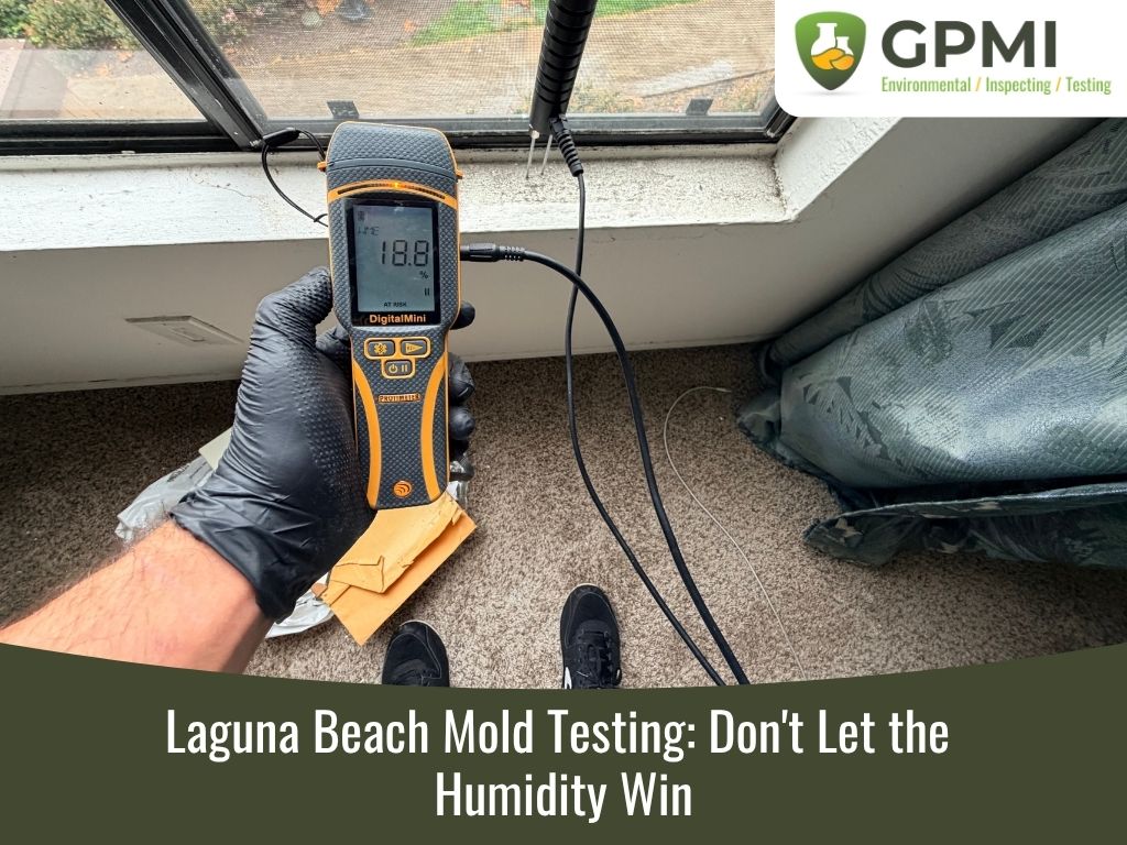 mold testing Laguna Beach