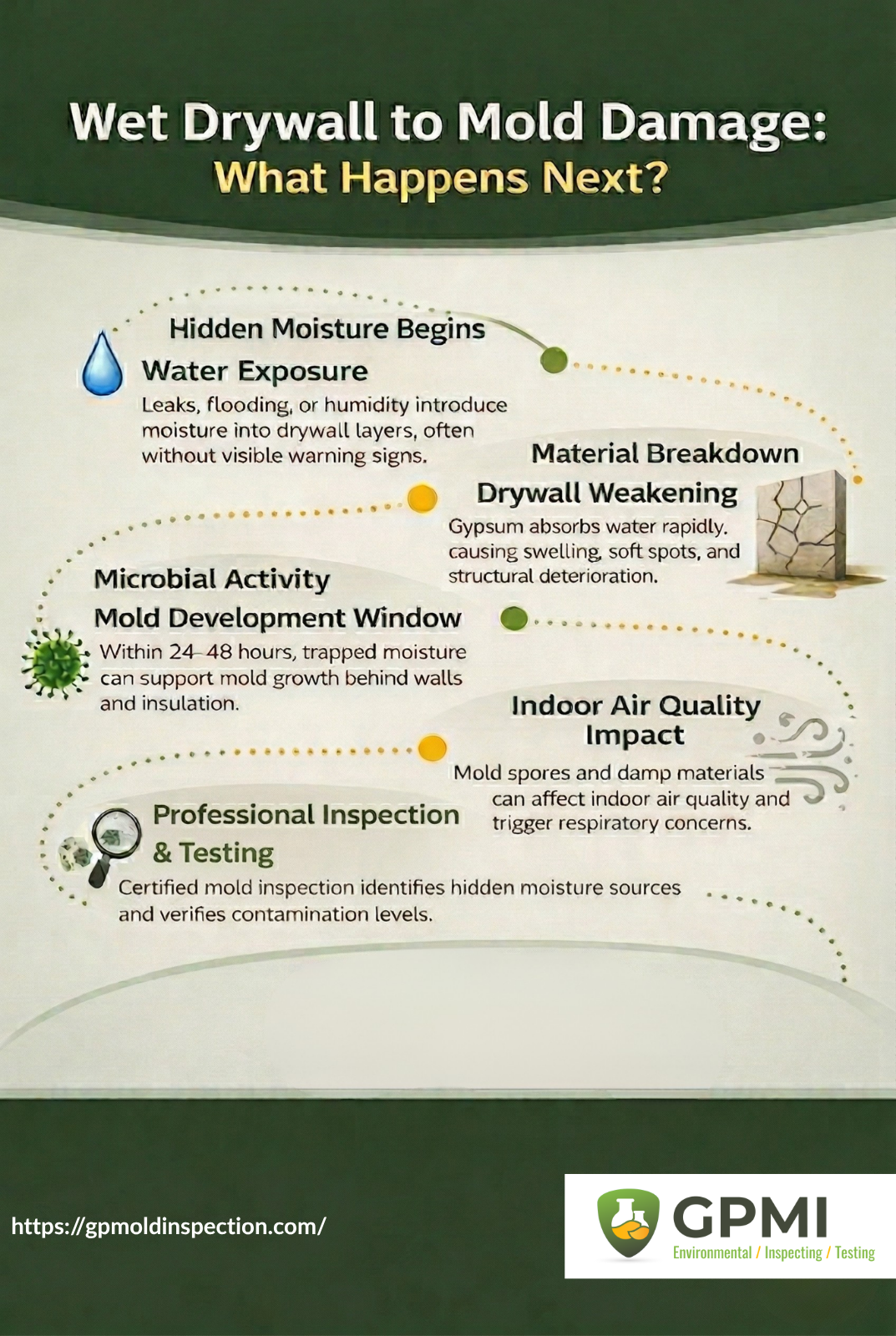 User-Inserted Infographic Showing Wet Drywall Damage Progression Leading To Mold Growth And Professional Inspection Recommendation.