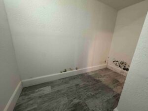 Mold On Room Walls
