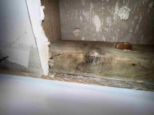 Exposed Wood Wall Cavity