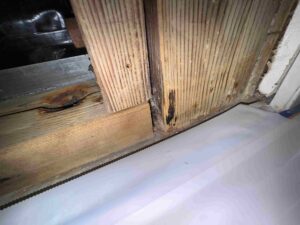 Water-Damaged Structural Framing