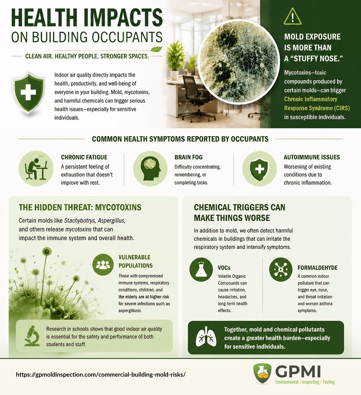 User-Inserted Infographic Explaining How Mold, Mycotoxins, Vocs, And Formaldehyde Can Affect Indoor Air Quality And Occupant Health.