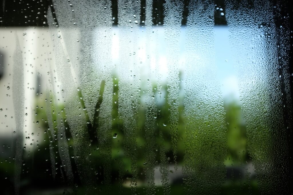 Apartment Mold On Windows: What To Do When Your Landlord Won'T 2 Apartment Mold On Windows: What To Do When Your Landlord Won'T 2