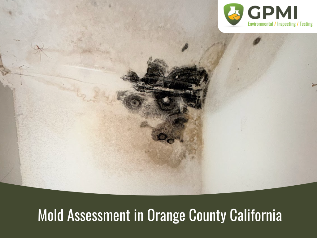 Mold assessment process in Orange County, California, highlighting inspection and testing procedures.