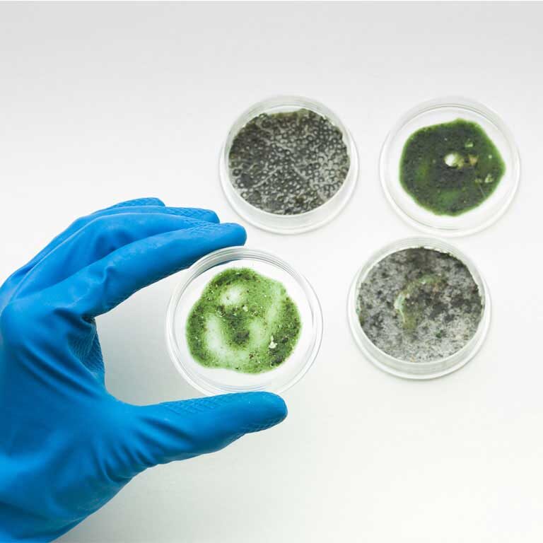 State Of The Art Mold Inspection And Testing State Of The Art Mold Inspection And Testing