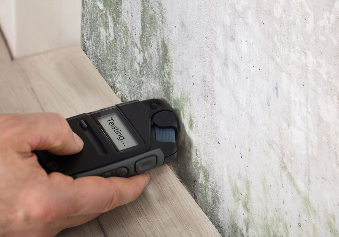 Mold-Testing Mold Testing