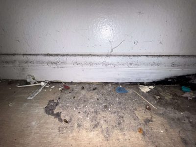 Heavy black mold staining running along a baseboard and wall base; dramatic finding., found during a certified GPMI mold inspection in Orange County.
