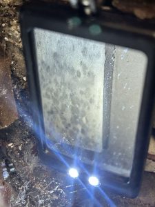 Lighted inspection magnifier over wood surface showing heavy mold spotting, found during a certified GPMI mold inspection in Orange County.