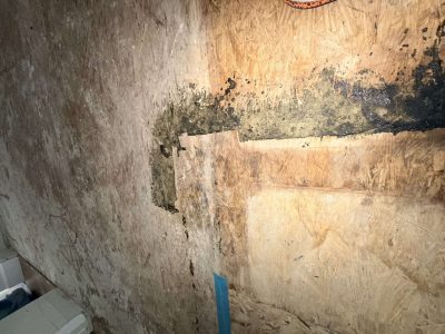 OSB subfloor with heavy black mold and water staining running along the wall/floor junction, found during a certified GPMI mold inspection in Orange County.