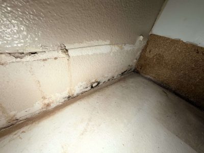 Wall base corner with peeling paint and black mold staining along the baseboard from water damage, found during a certified GPMI mold inspection in Orange County.